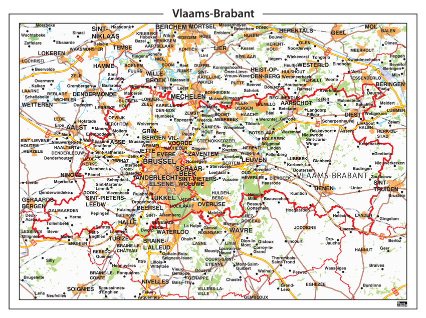 Brabant Flamand
